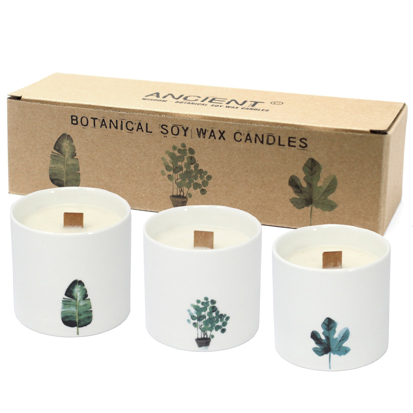 Botanical Candles - Large