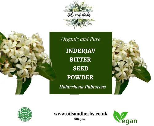 Organic Inderjav Bitter Seed Powder Holarrhena Pubescens