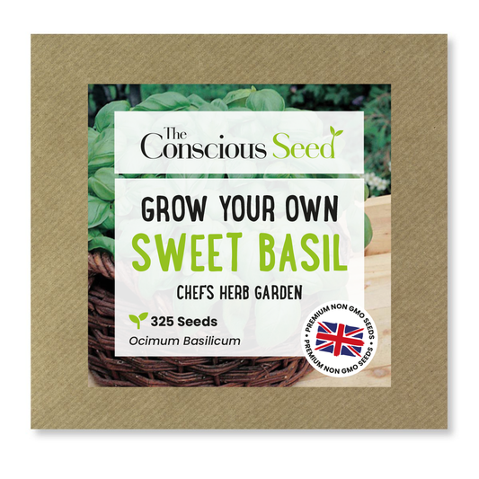 Sweet Basil Seeds - 235 Seeds