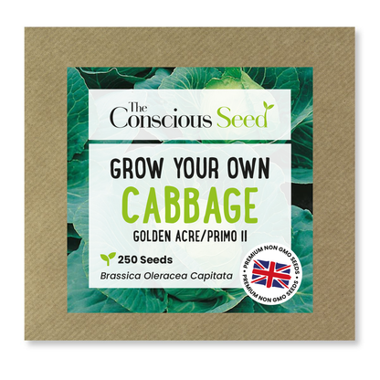 Cabbage - 250 Premium Seeds