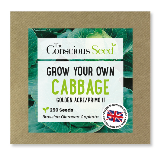 Cabbage - 250 Premium Seeds