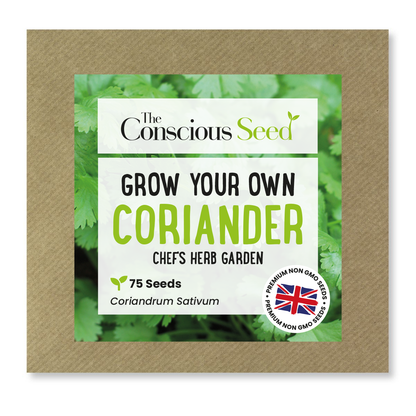 Coriander - 75 Premium Seeds