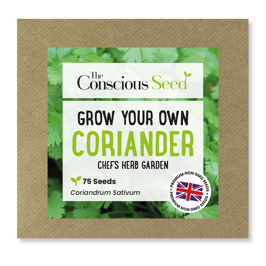 Coriander - 75 Premium Seeds