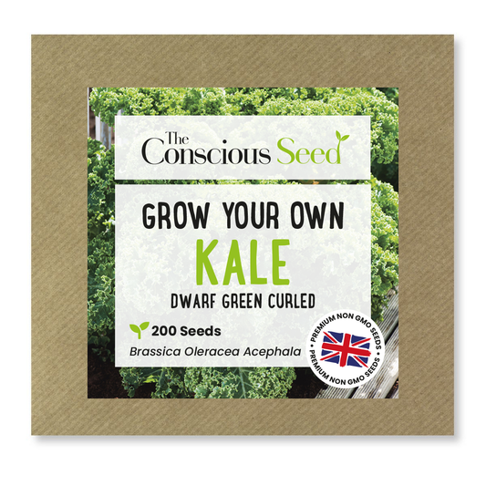 Kale Seeds - 200 Premium Seeds
