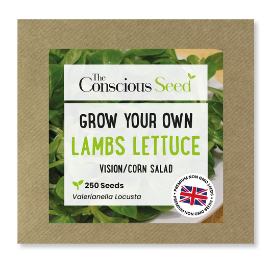 Lambs Lettuce - 250 Premium Seeds