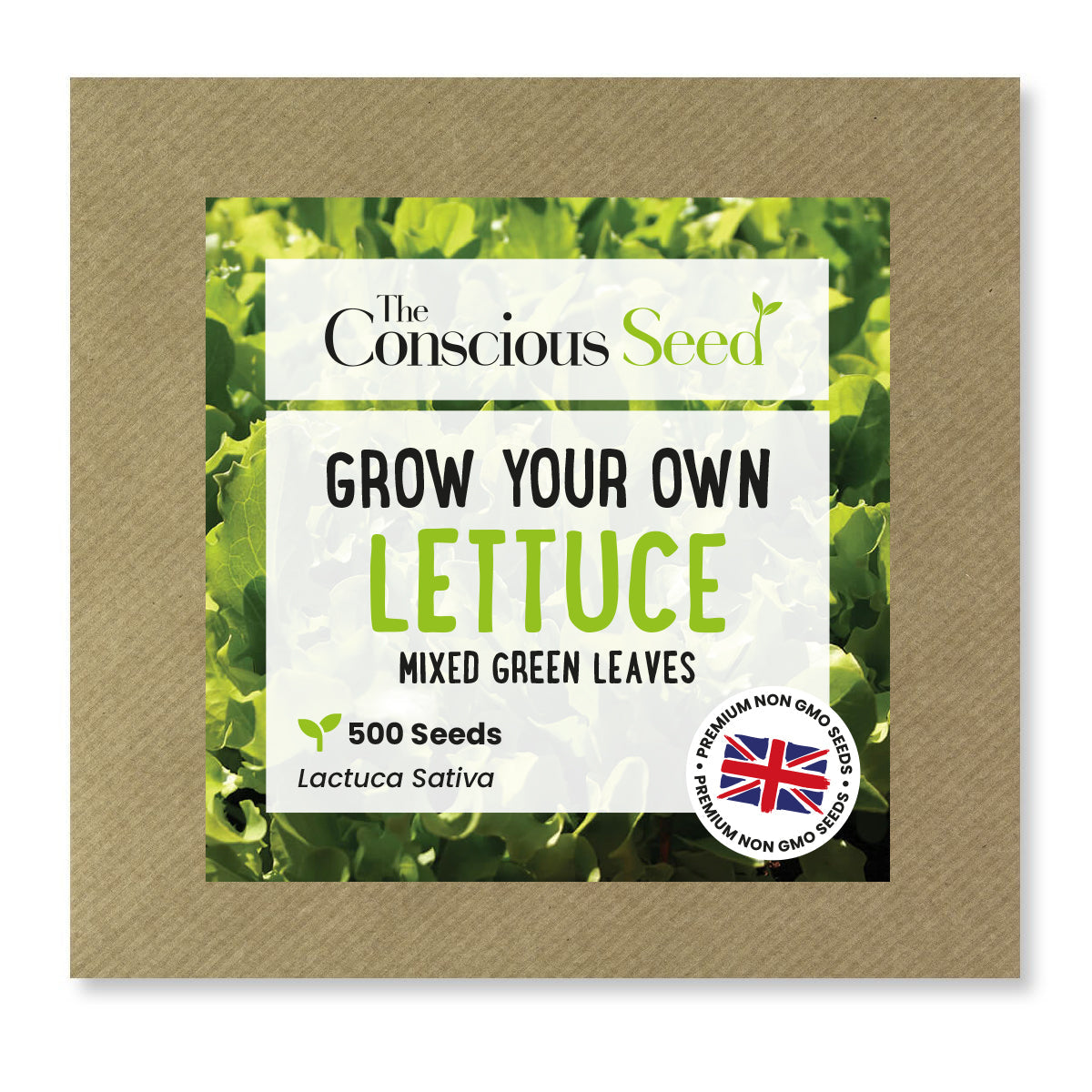 Lettuce - 500 Premium Seeds