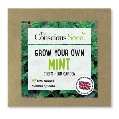 Mint Seeds - 625 Premium Seeds