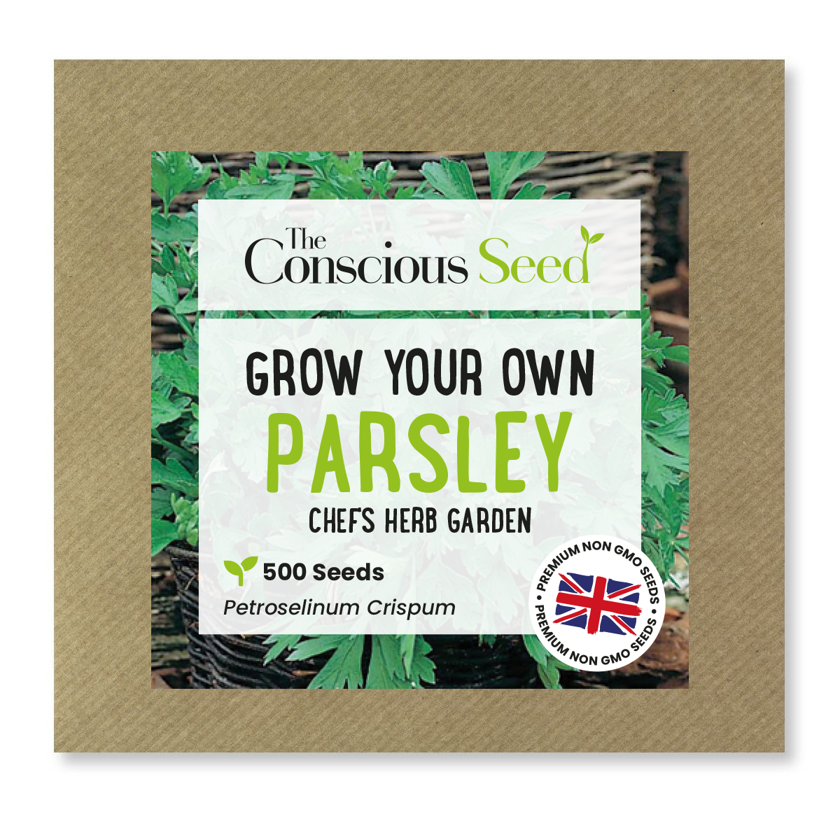 Parsley - 500 Premium Seeds