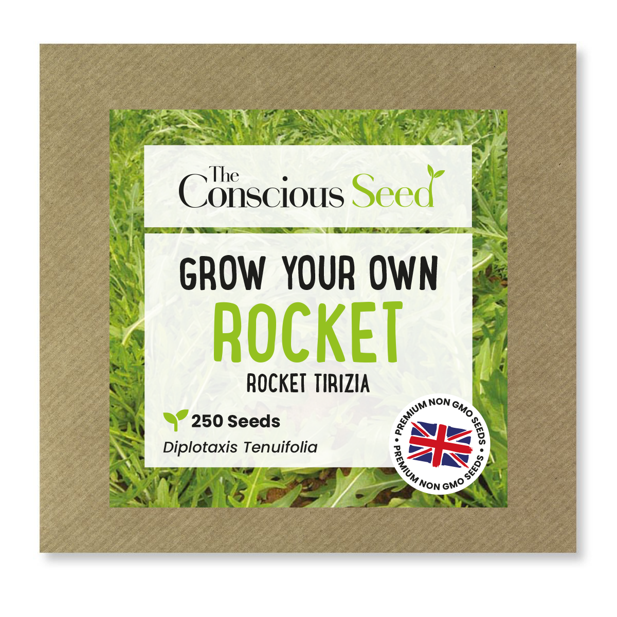 Rocket - 250 Premium Seeds