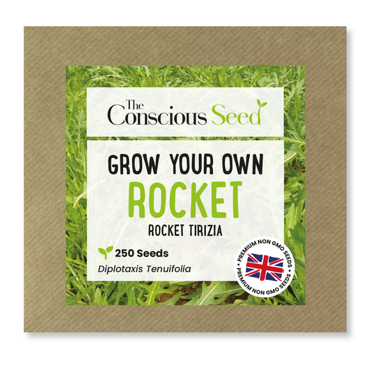 Rocket - 250 Premium Seeds