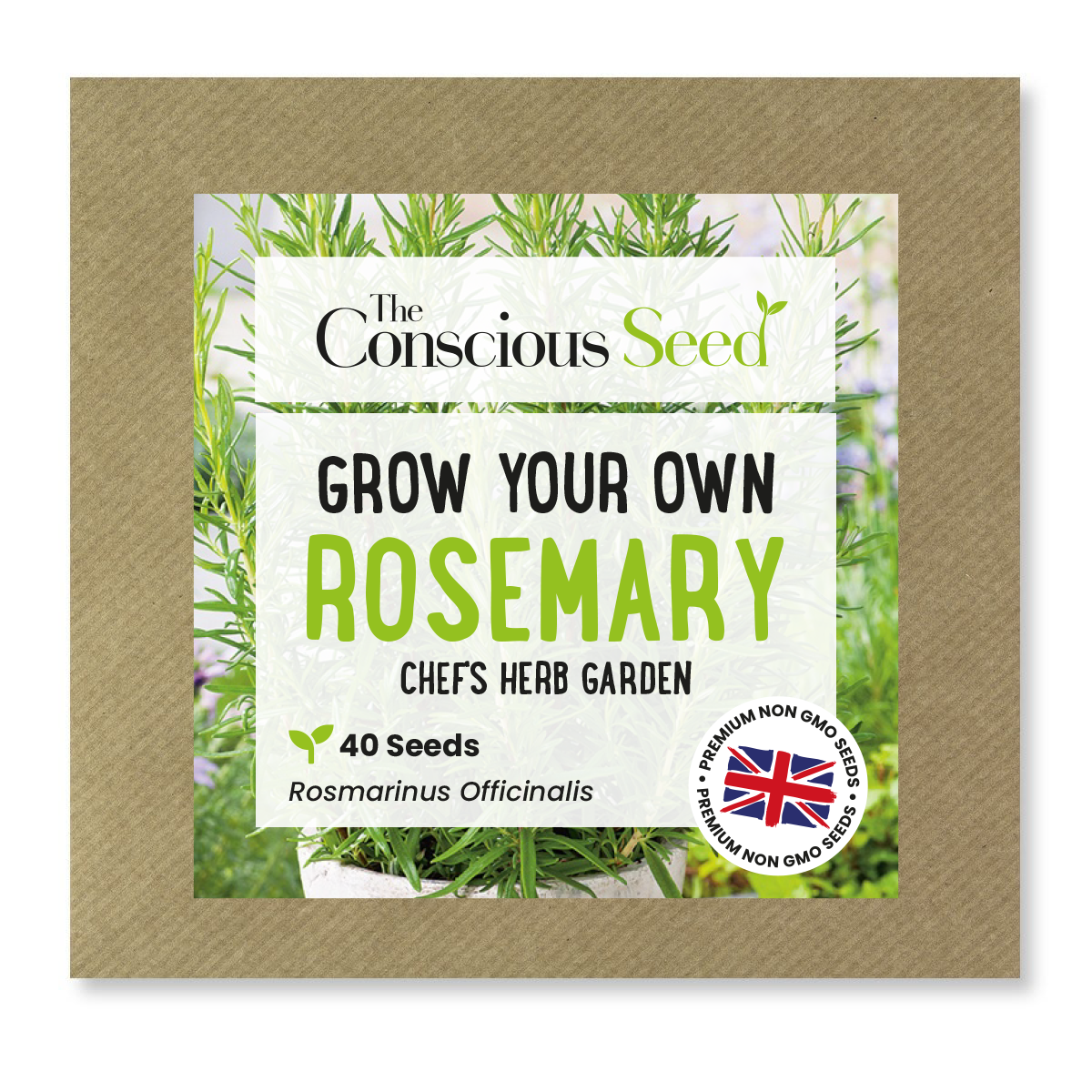 Rosemary - 40 Premium Seeds