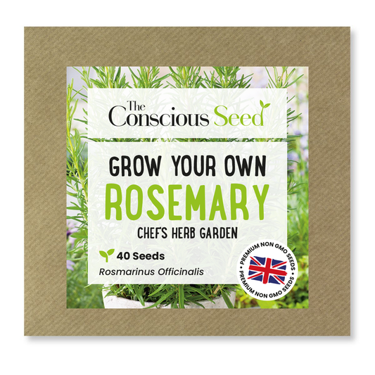Rosemary - 40 Premium Seeds