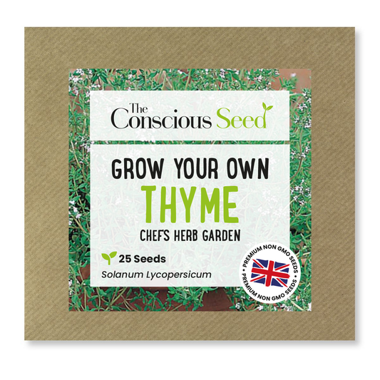 Thyme - 25 Premium Seeds