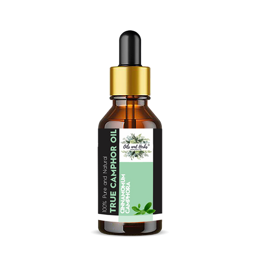 True Camphor Essential Oil 100% Pure and Natural