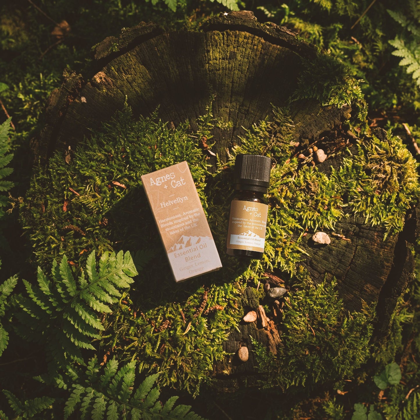 Agnes + Cat Essential Oil Blend - Windermere