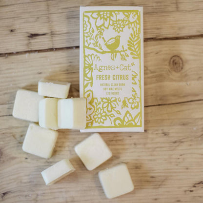 Agnes + Cat Box of 8 Wax Melts - Fresh Citrus