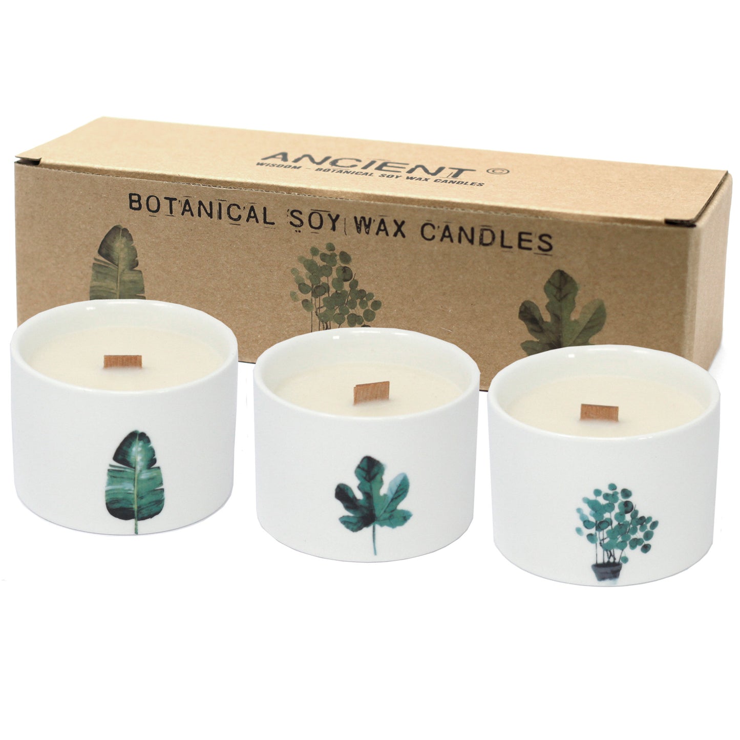 Botanical Candles - Med
