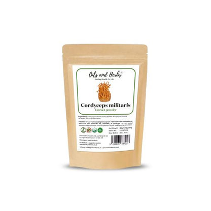 High Strength Cordyceps militaris extract powder