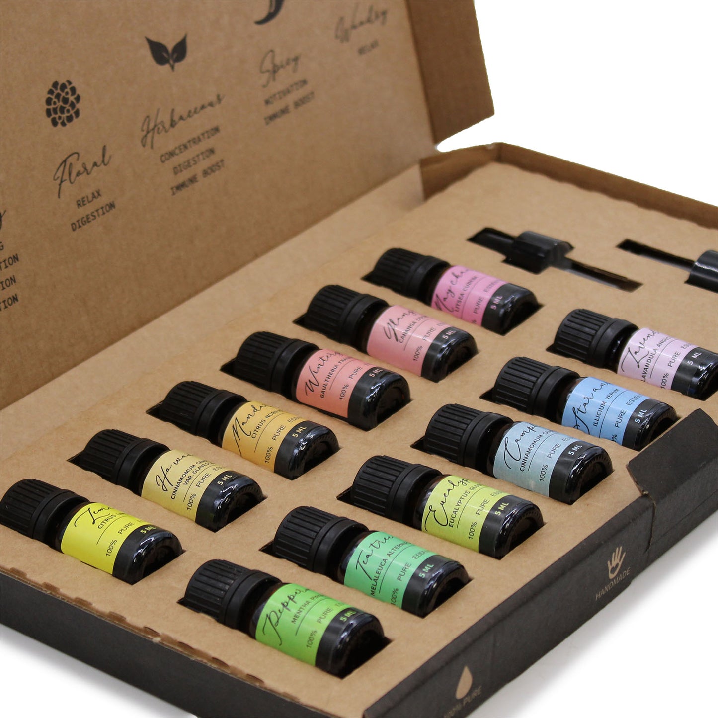 Aromatherapy Essential Oil Set - Starter PK