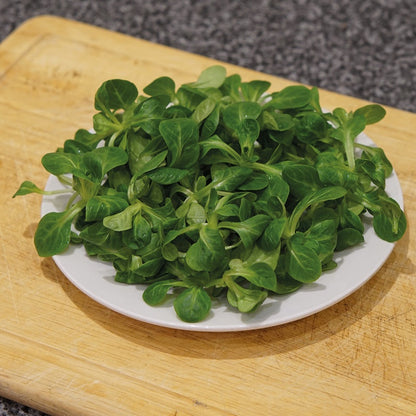 Lambs Lettuce - 250 Premium Seeds